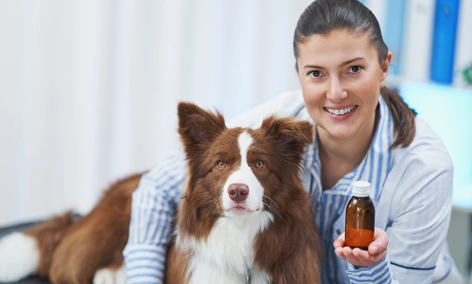 Veterinary Compounding
